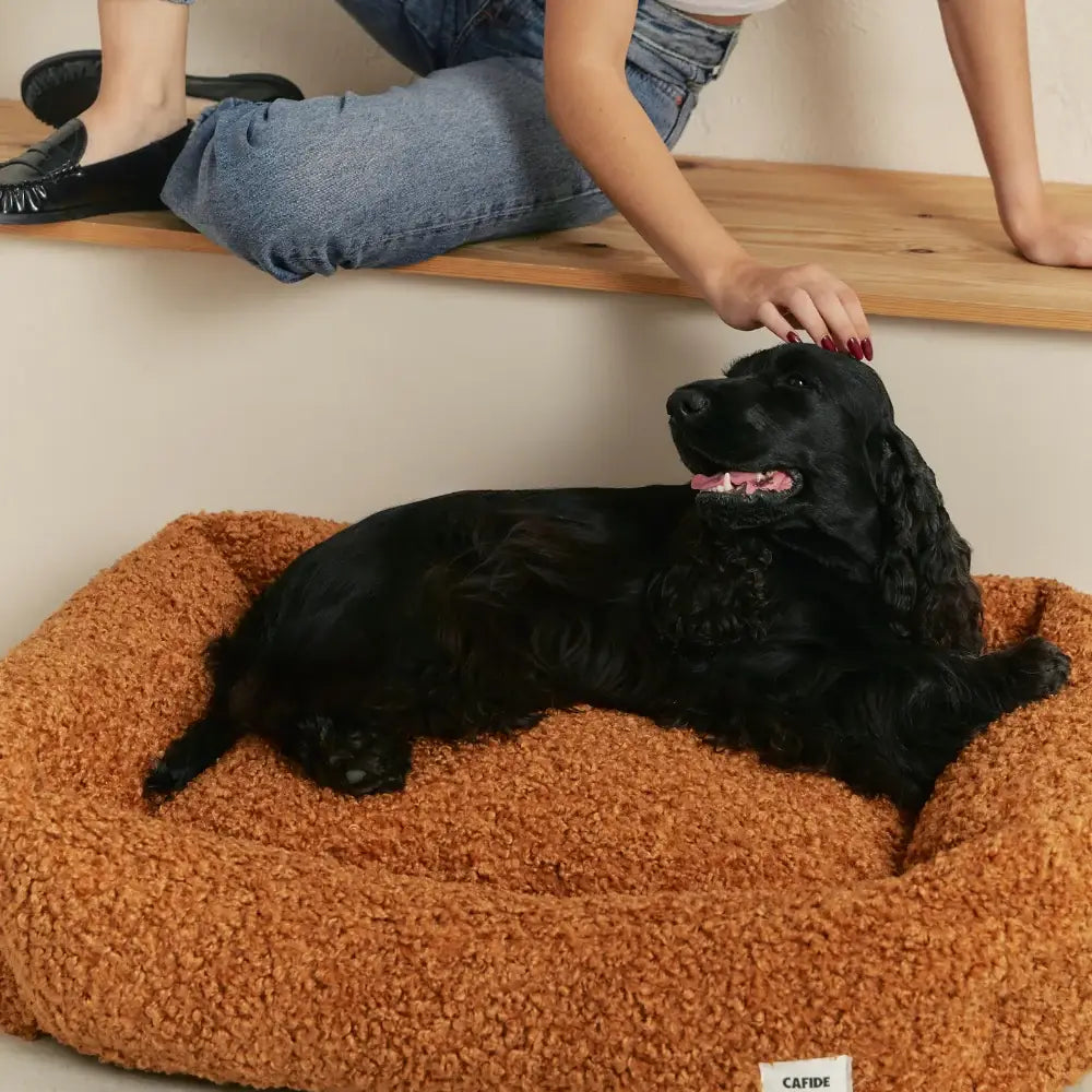 Maison et accessoires