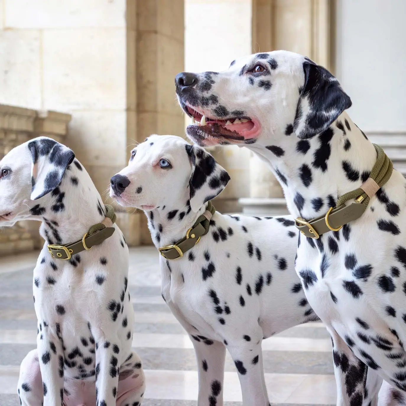 Collier Kaki - Atelier Markiz