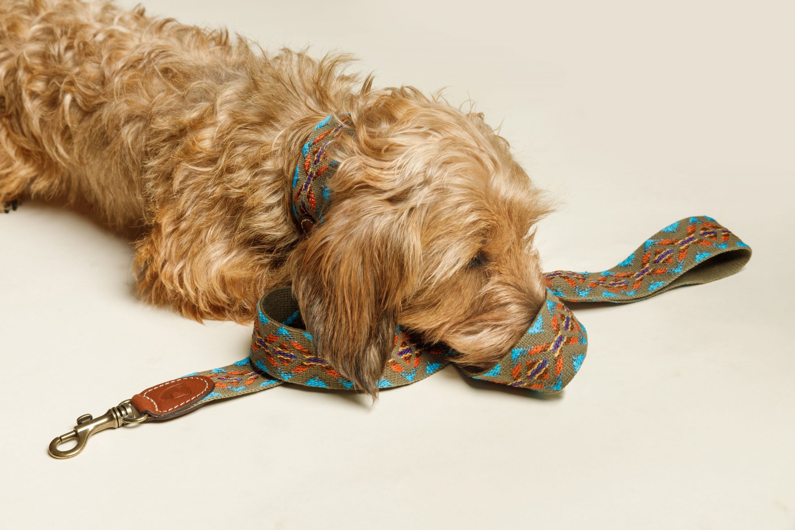 Laisse Etna Green - Buddys Dogwear