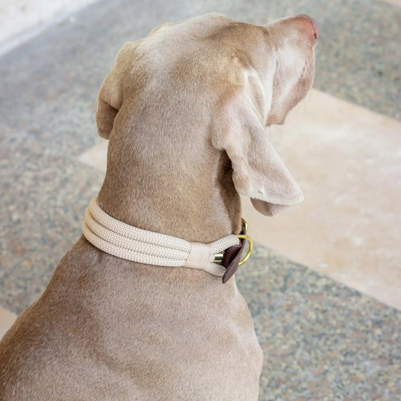 Collier Latte - Atelier Markiz