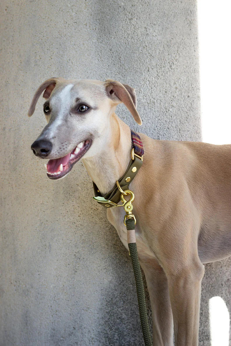 Laisse simple Kaki - Atelier Markiz