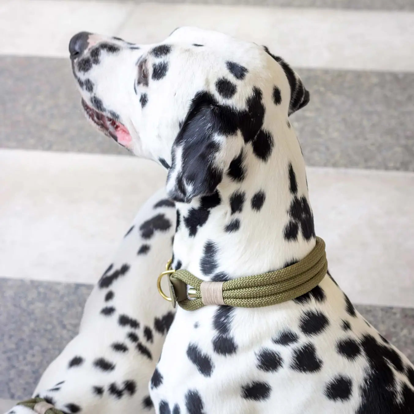 Collier Kaki - Atelier Markiz