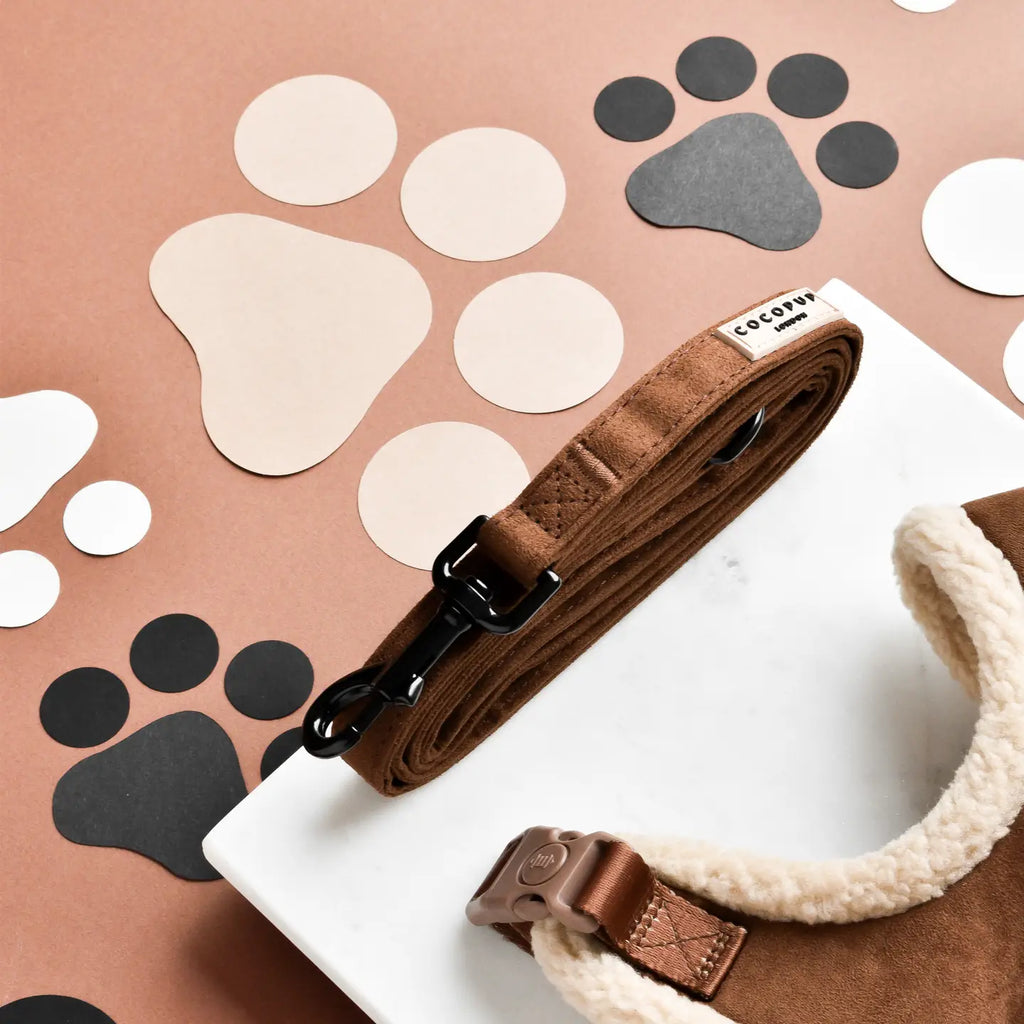 Laisse Brownie - Cocopup London