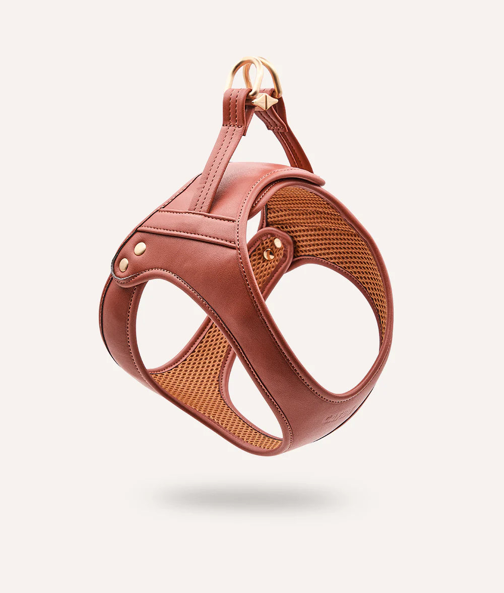 Harnais cuir végétal marron - Cafide