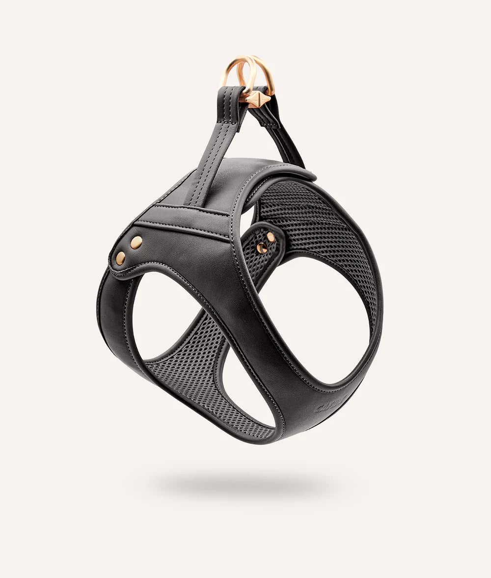 Harnais cuir végétal noir - Cafide