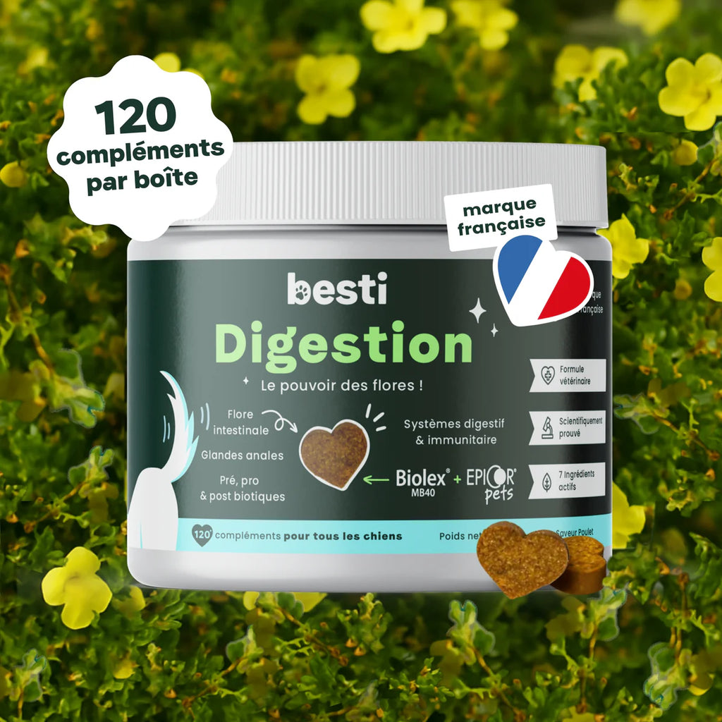 Complément alimentaire digestion - Besti