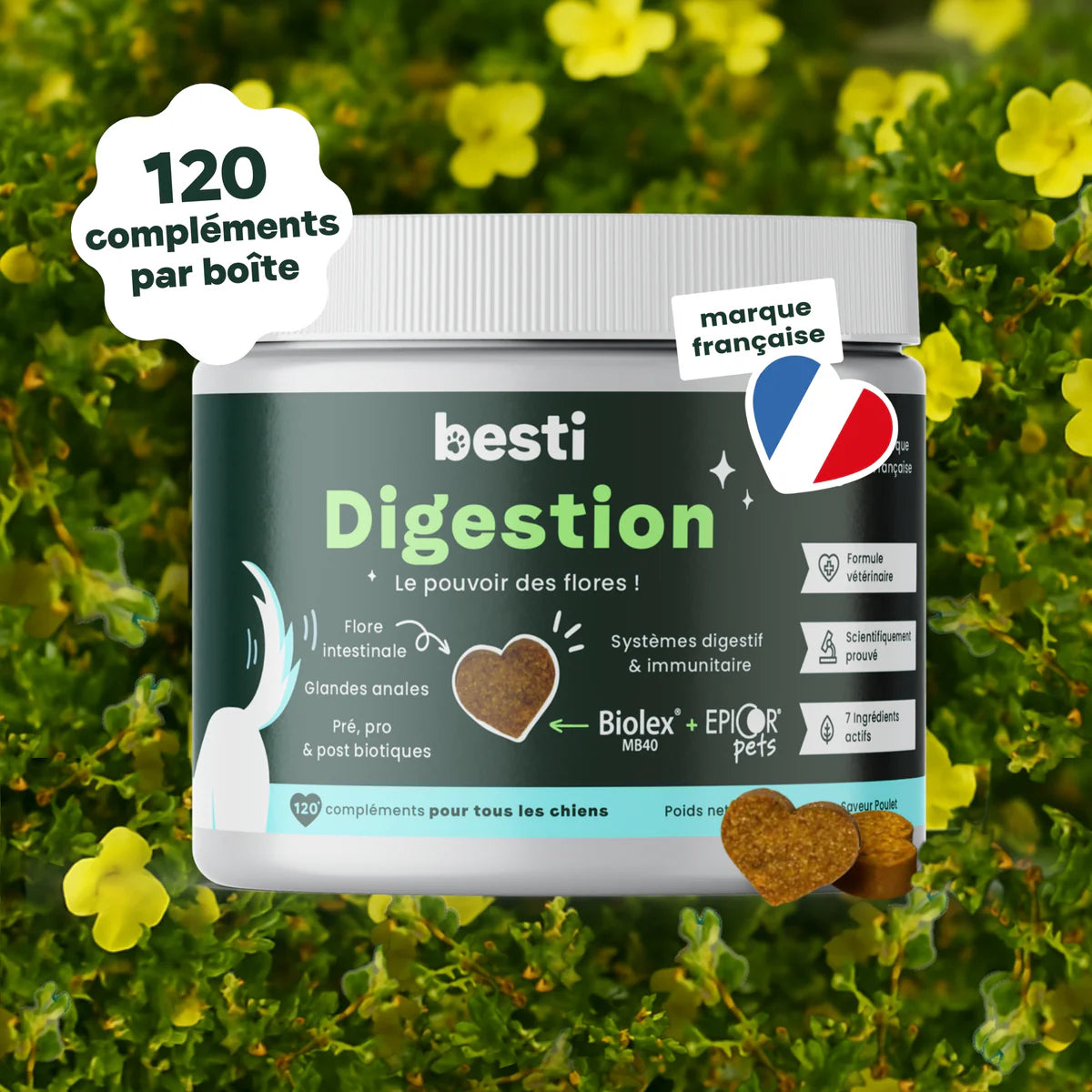 Complément alimentaire digestion - Besti