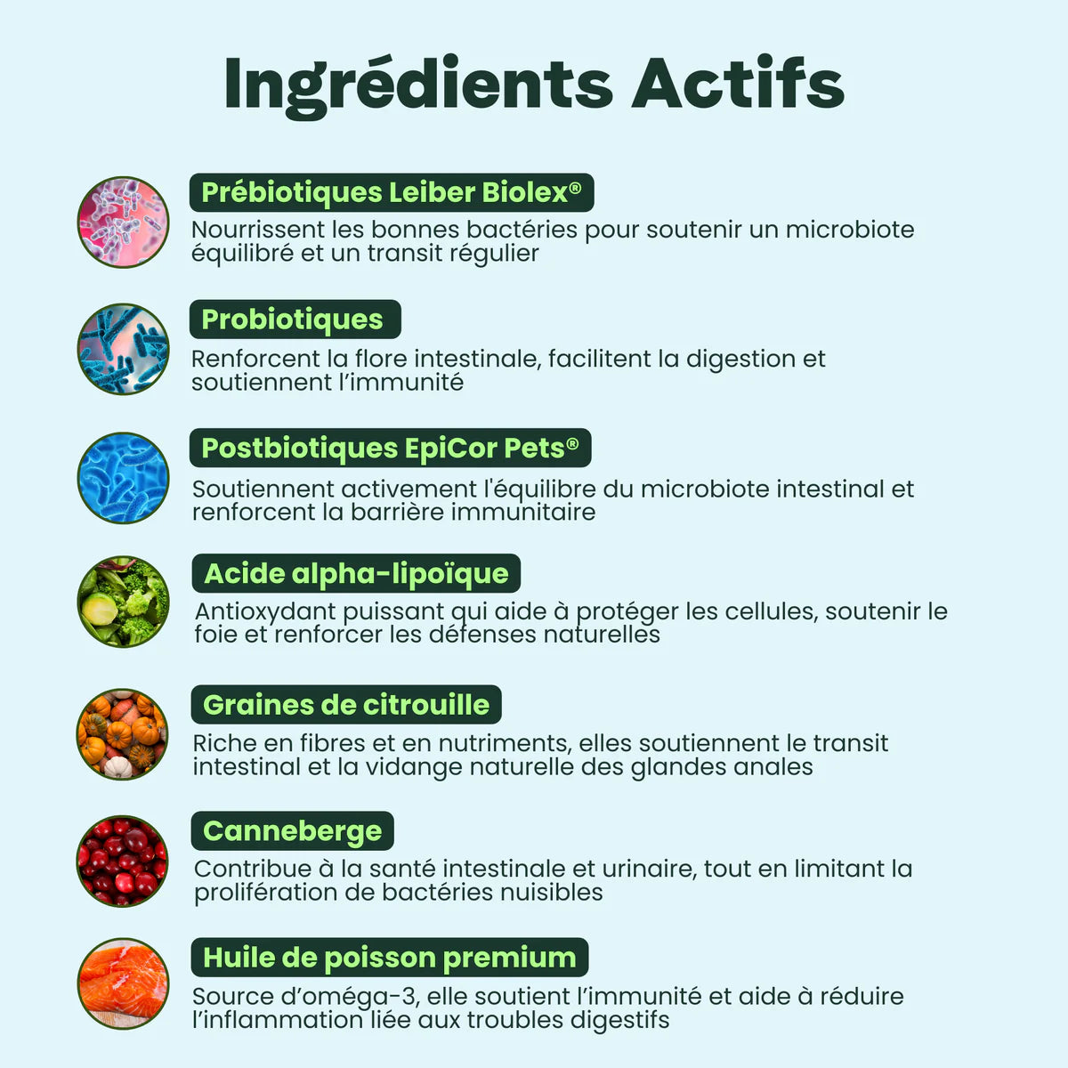 Complément alimentaire digestion - Besti