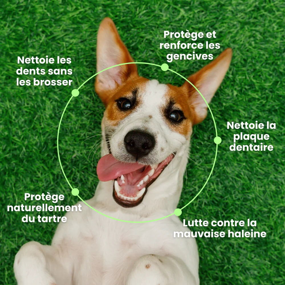 Complément alimentaire haleine, dents & gencives - Besti