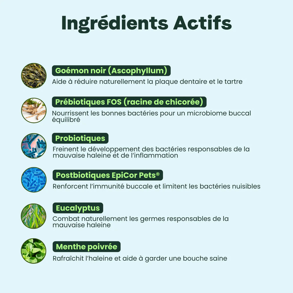Complément alimentaire haleine, dents & gencives - Besti