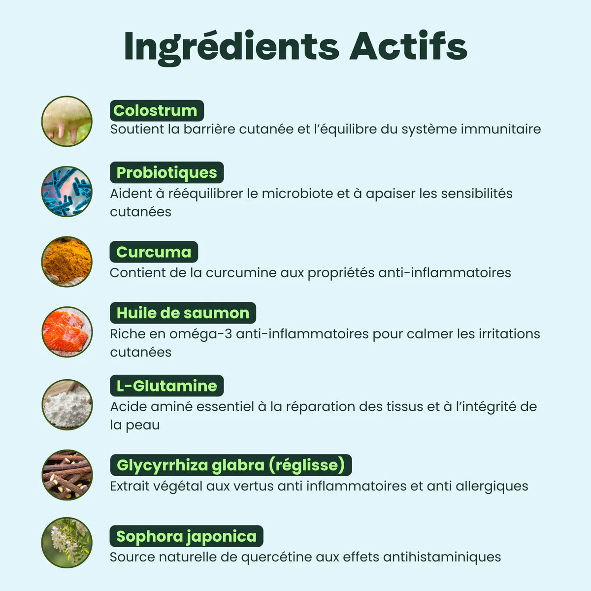 Complément alimentaire anti démangeaisons - Besti