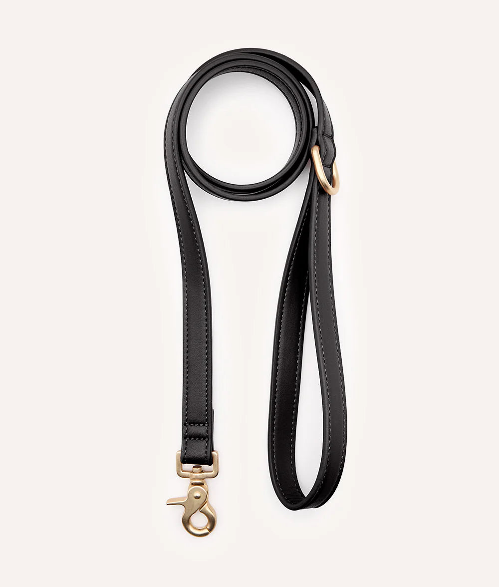 Laisse cuir végétal noir - Cafide