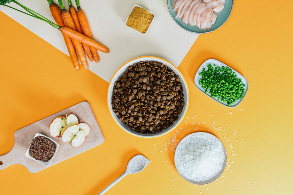 Croquettes au poulet frais - Dogchef