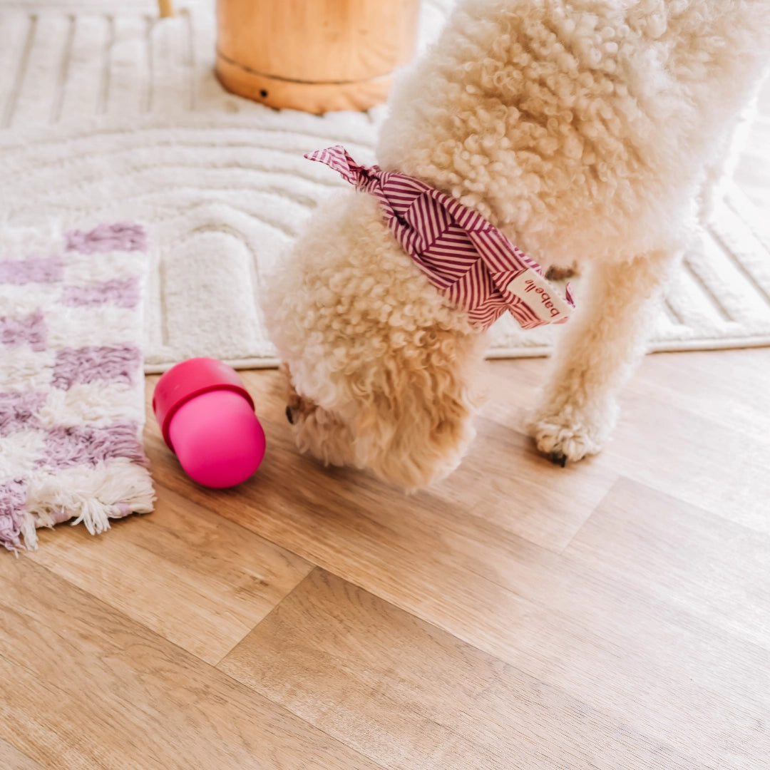 Fun Feeder - Distributeur de friandises