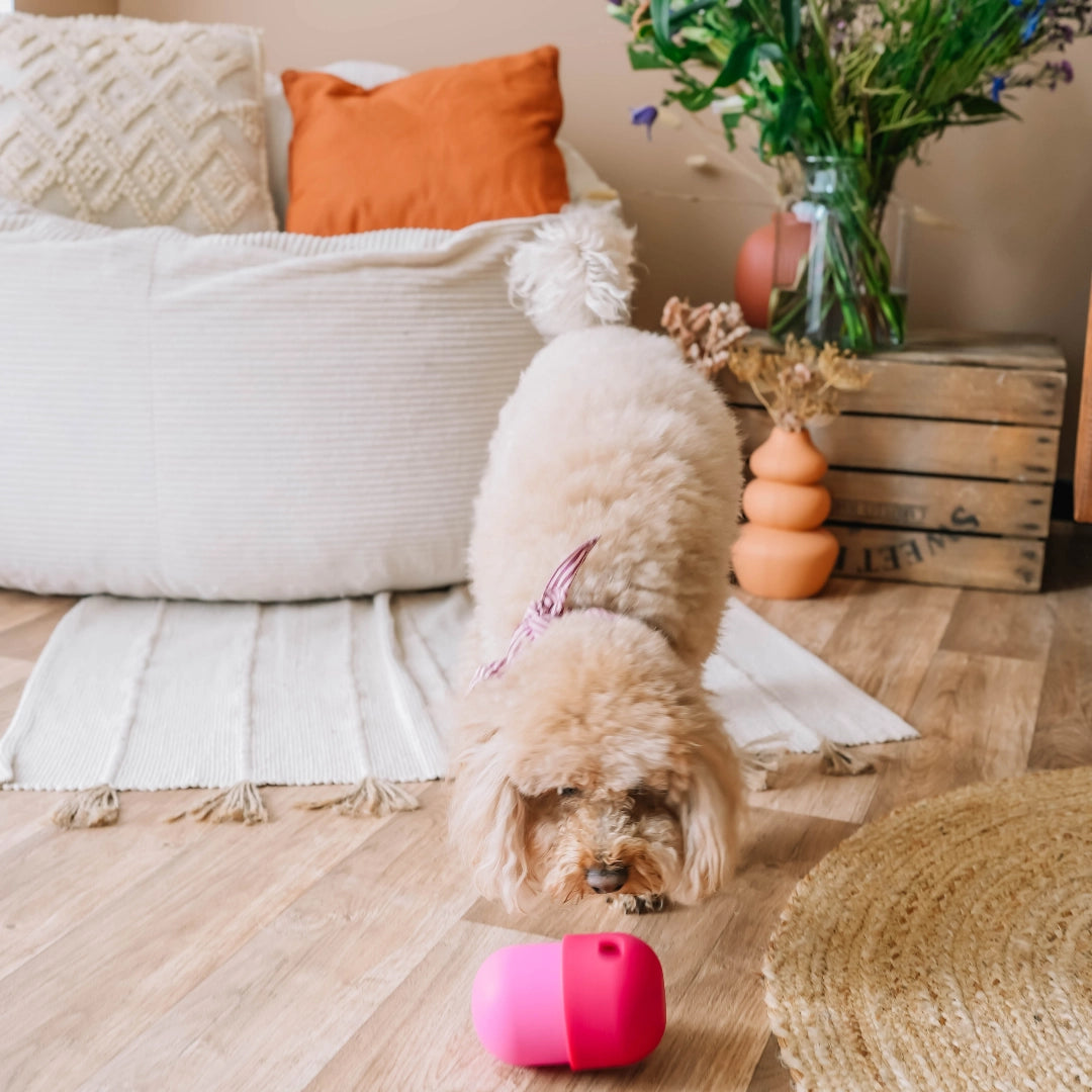 Fun Feeder - Distributeur de friandises