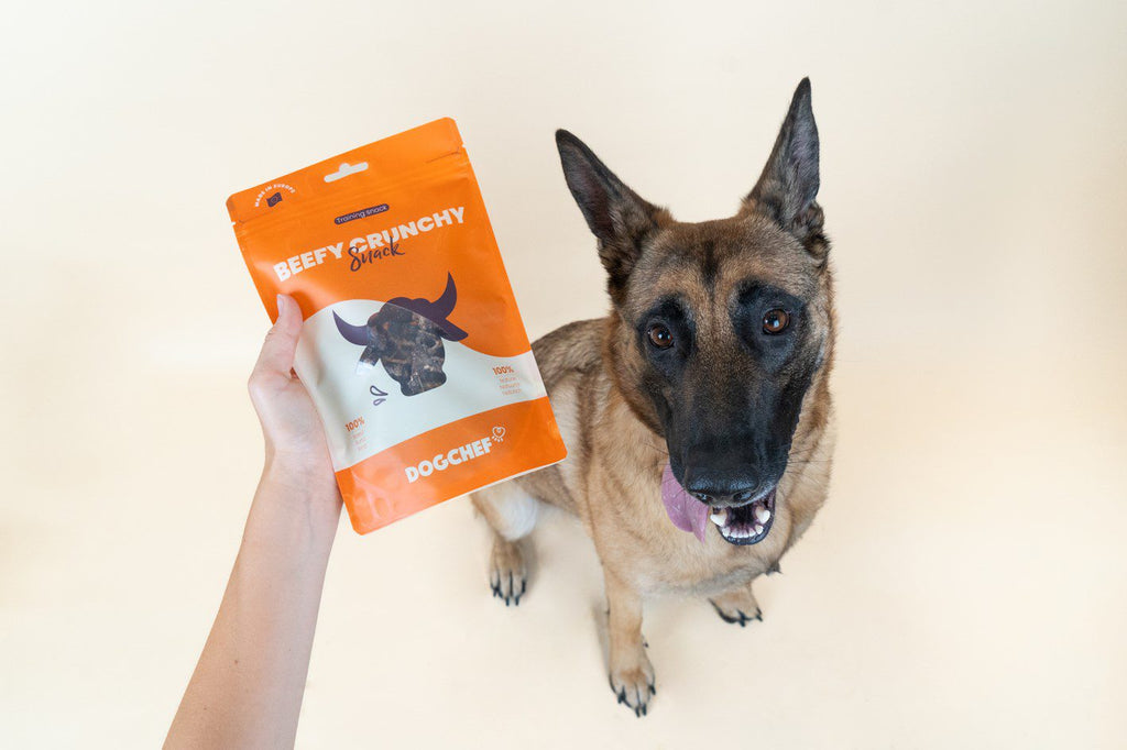 Beefy Crunchy - Dogchef