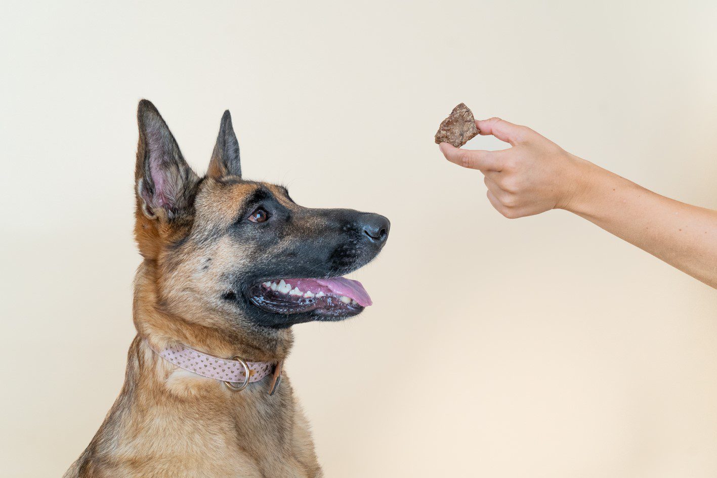 Beefy Crunchy - Dogchef