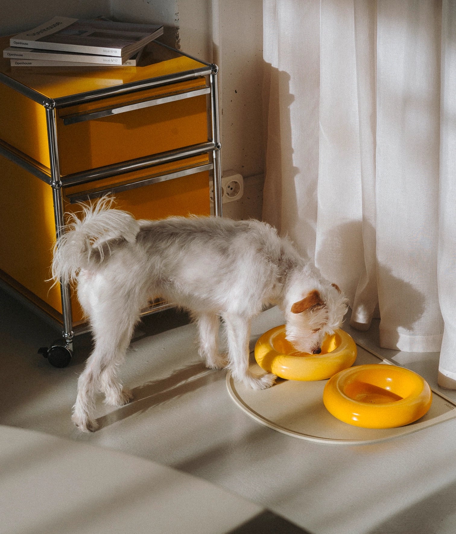 Gamelles en céramique Jaune - Hot Dog