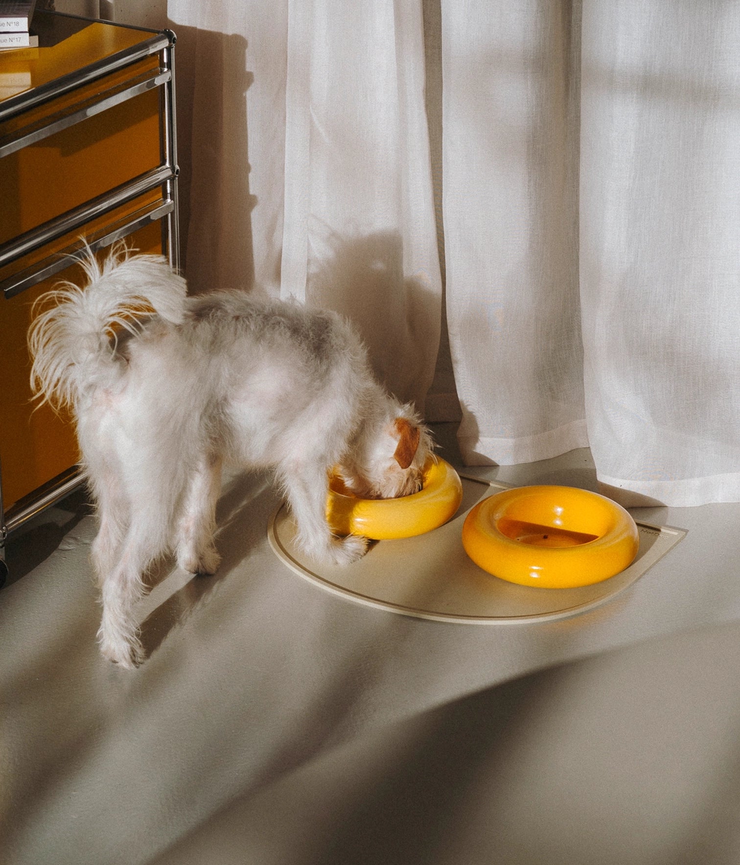 Gamelles en céramique Jaune - Hot Dog