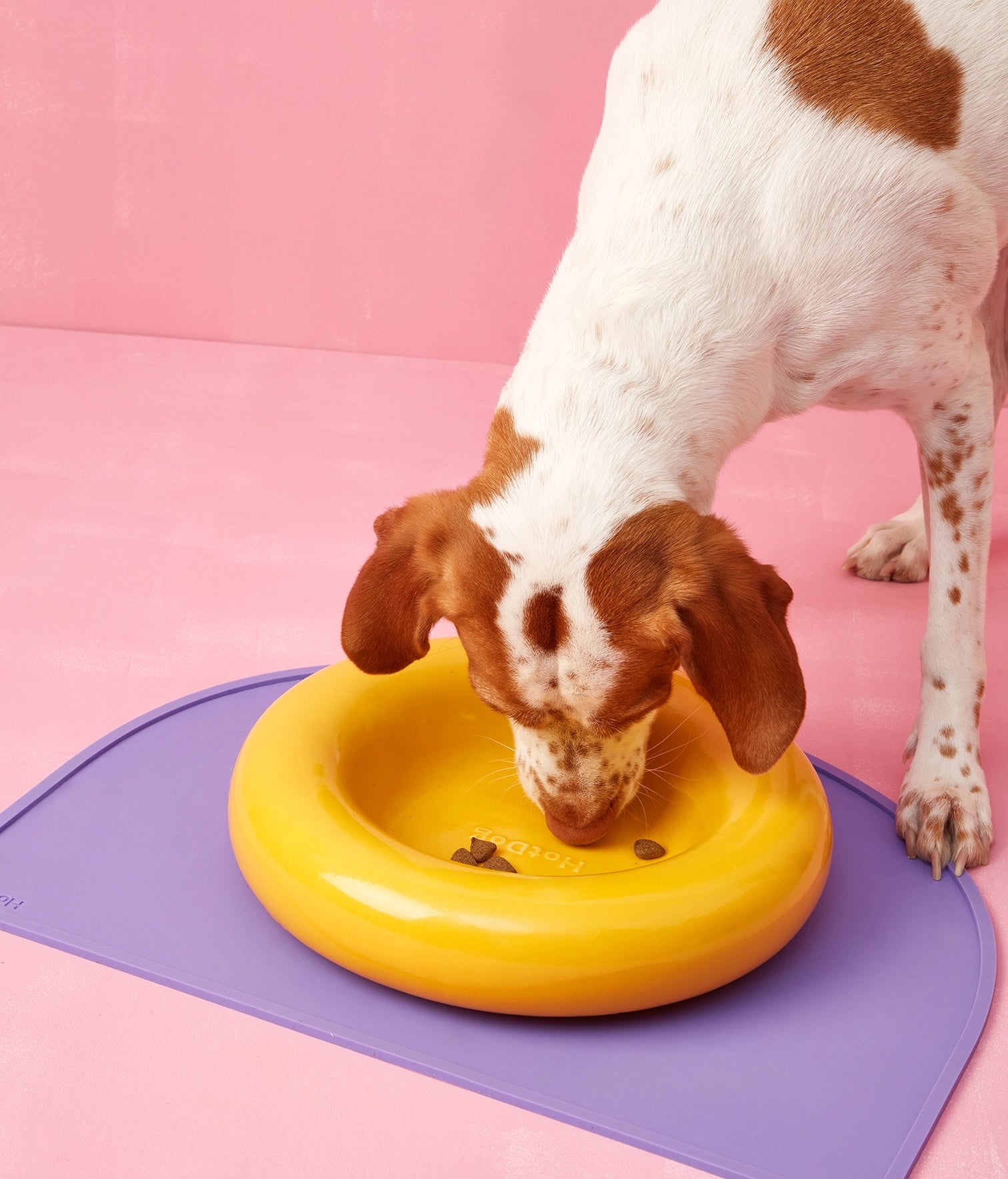 Gamelles en céramique Jaune - Hot Dog