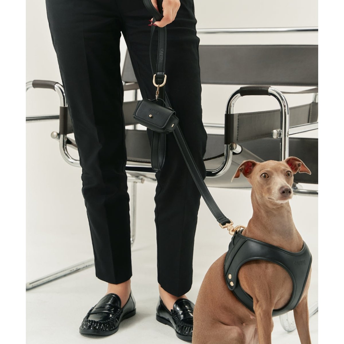 Harnais cuir végétal noir - Cafide