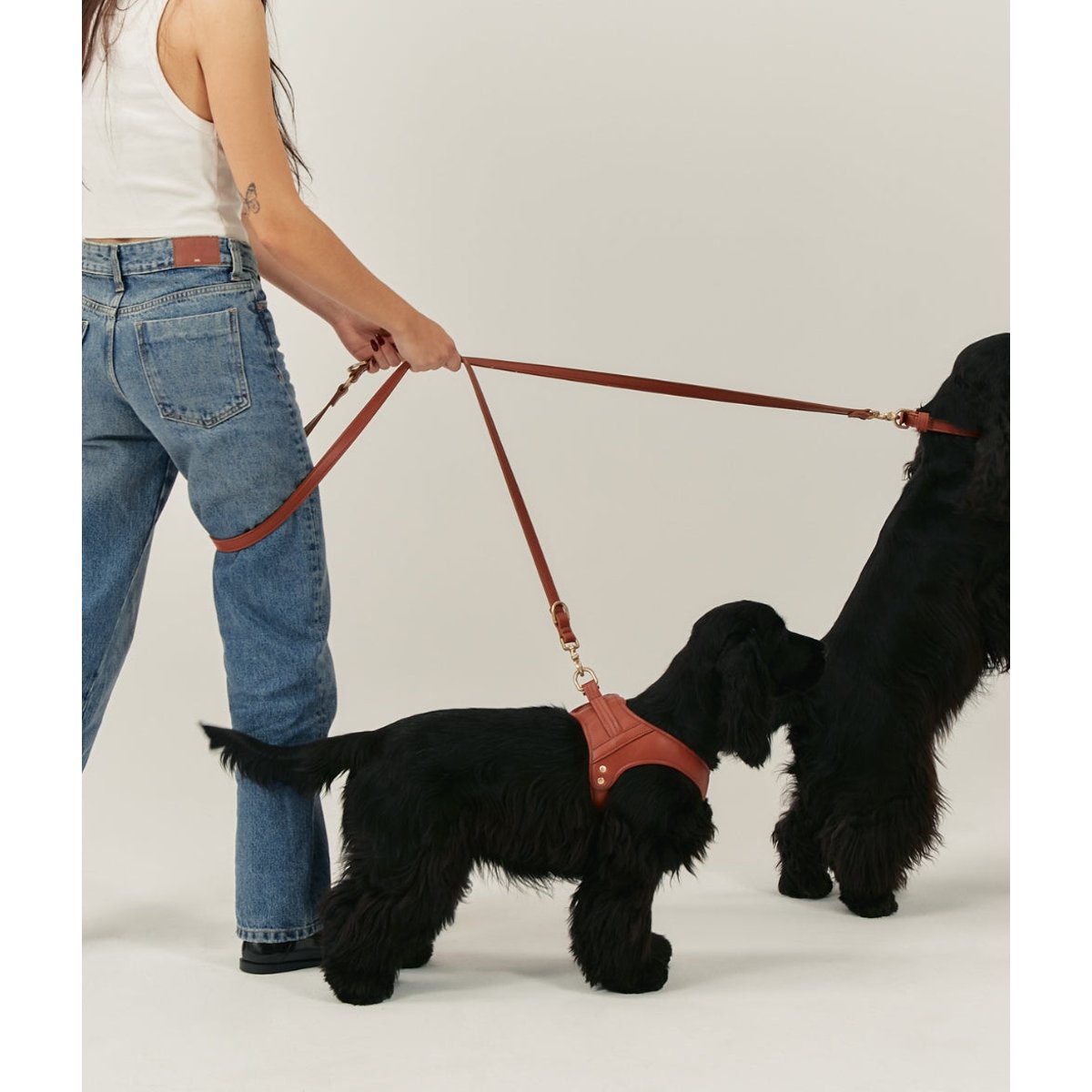 Harnais cuir végétal marron - Cafide