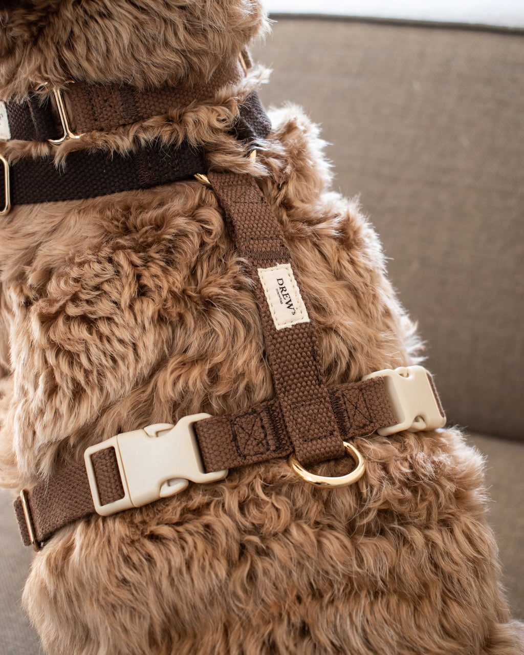 Harnais chocolat - Drews Dogwear