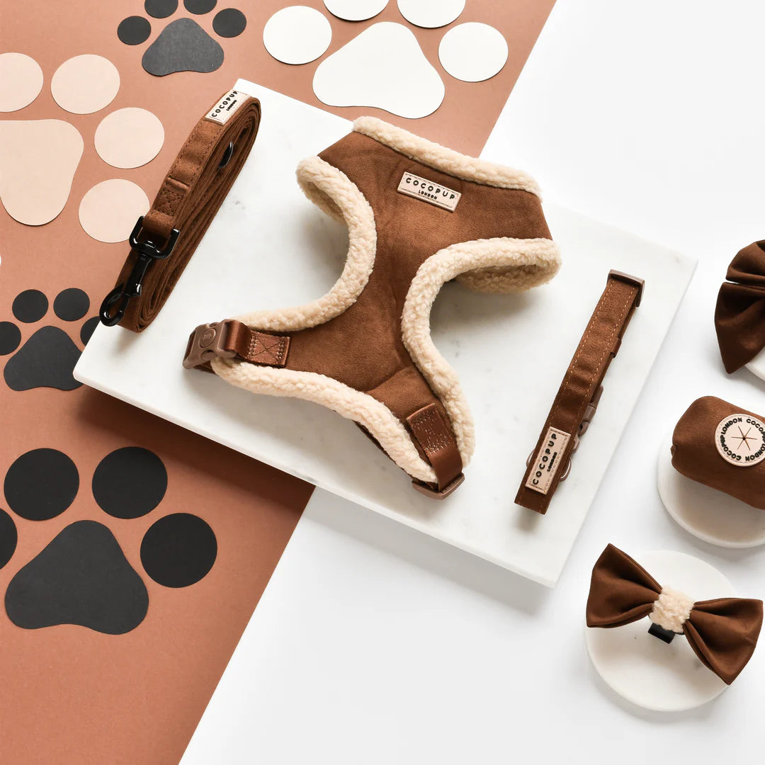 Harnais Brown Aviator - Cocopup London