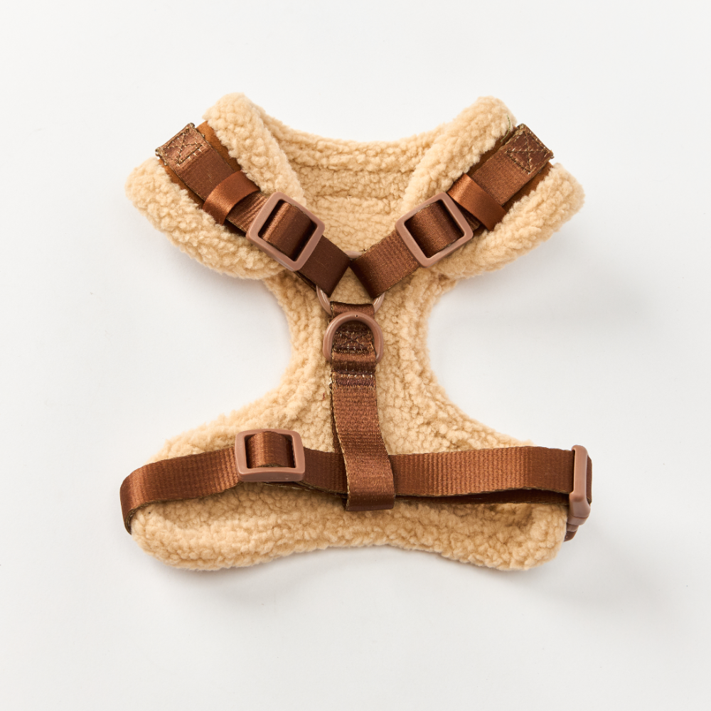 Harnais Brown Aviator - Cocopup London
