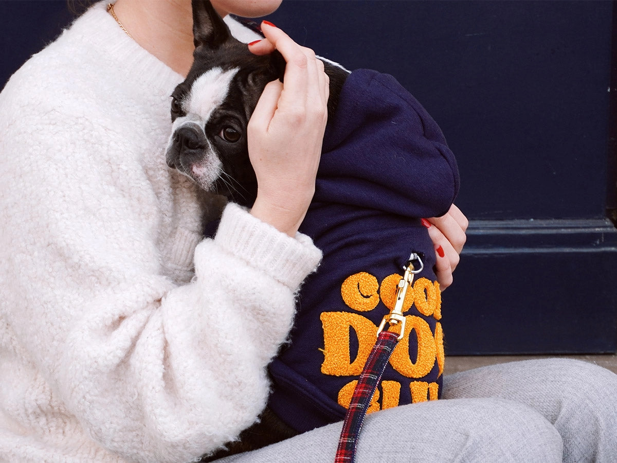 Hoodies à capuche Bleu Marine - French Bandit