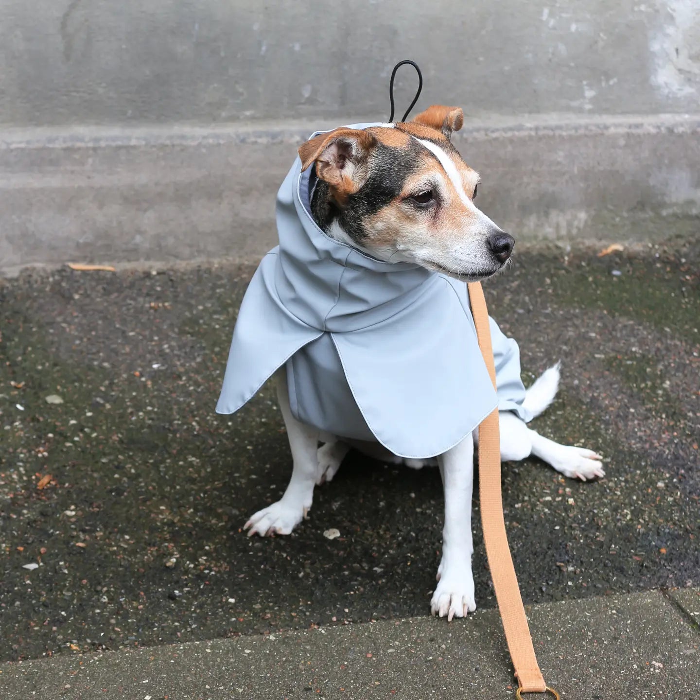 Imperméable gris clair - Tadazhi