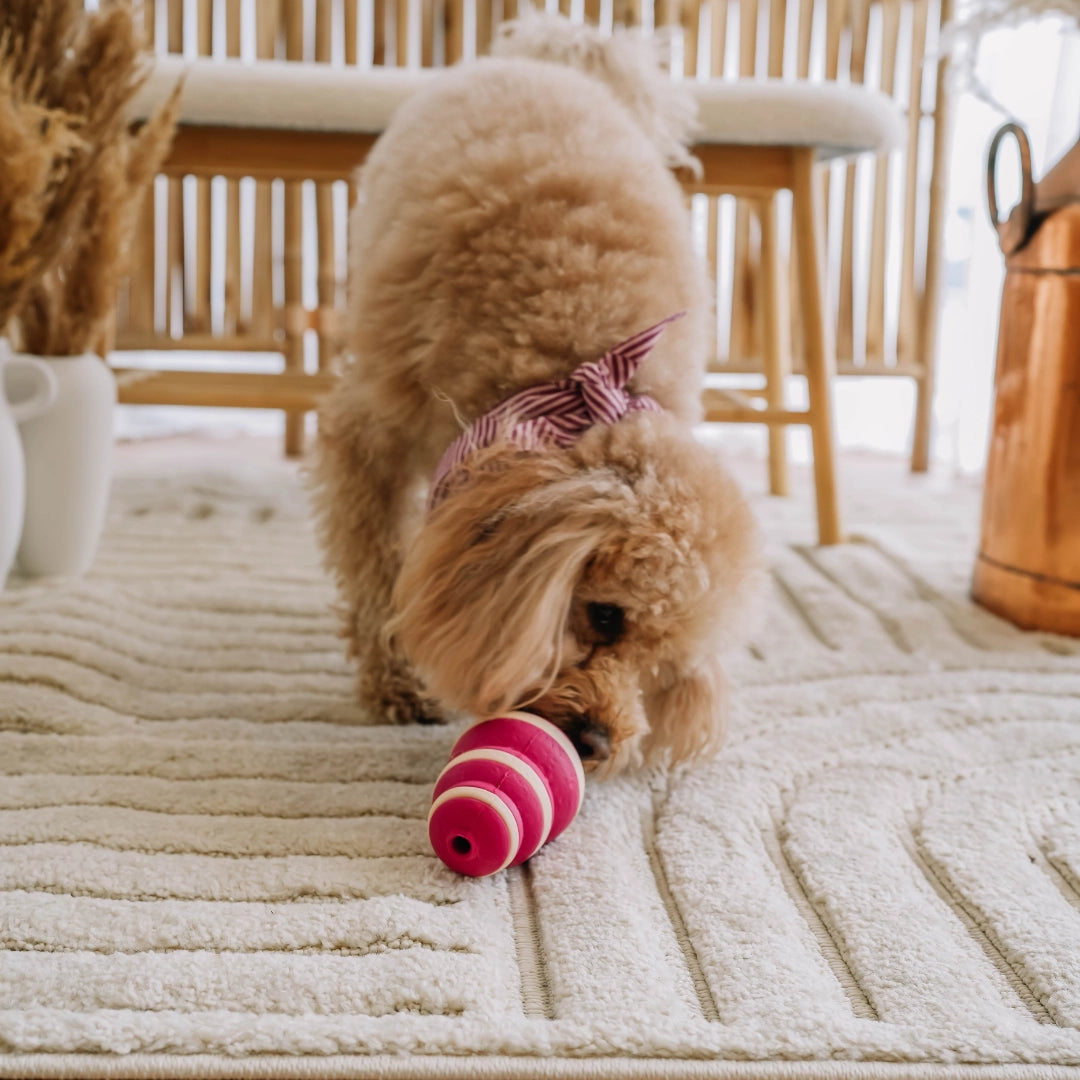 Le Bubble Feeder - Distributeur de friandises