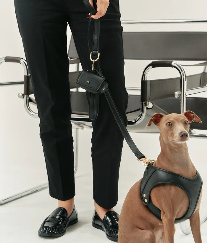 Laisse cuir végétal noir - Cafide