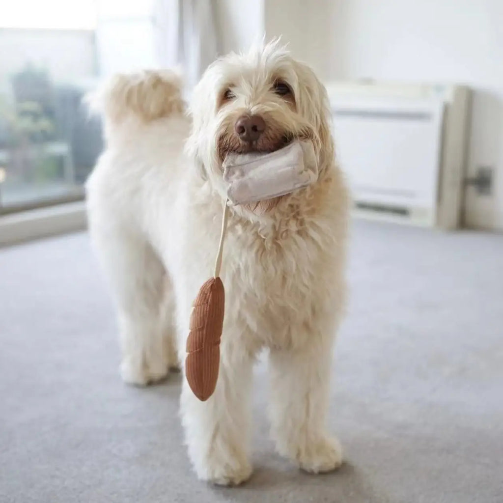 Peluche Mini Baguette