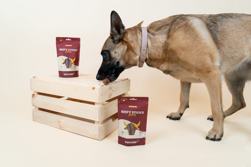 Nerd de boeuf - Dogchef