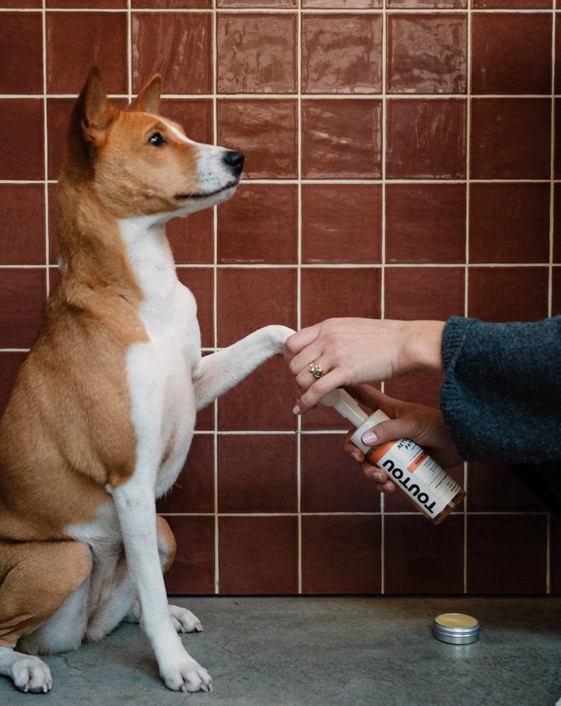 Nettoyant pattes rechargeable