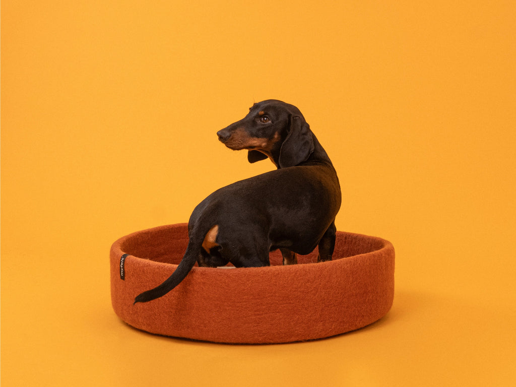 Panier en laine - Myfelt