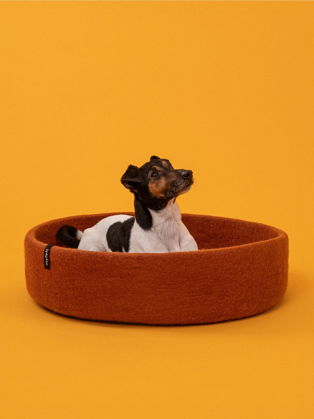 Panier en laine - Myfelt