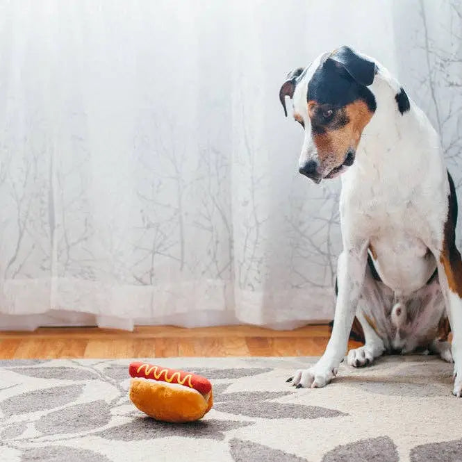 Peluche Hotdog