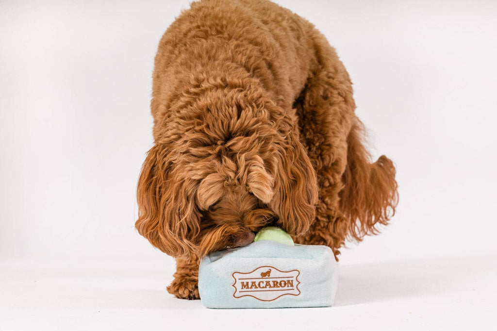Peluche macaron