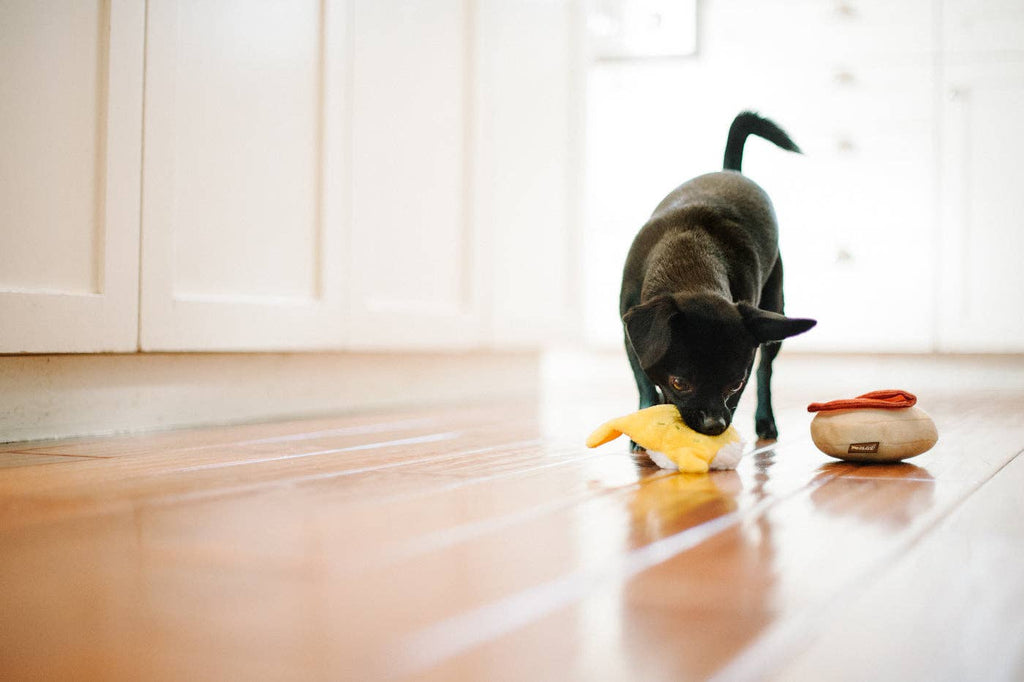 Peluche oeuf benedict