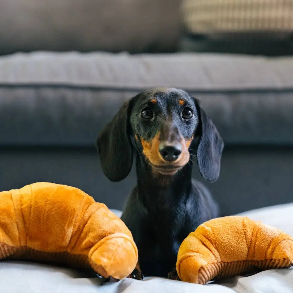 Peluche croissant