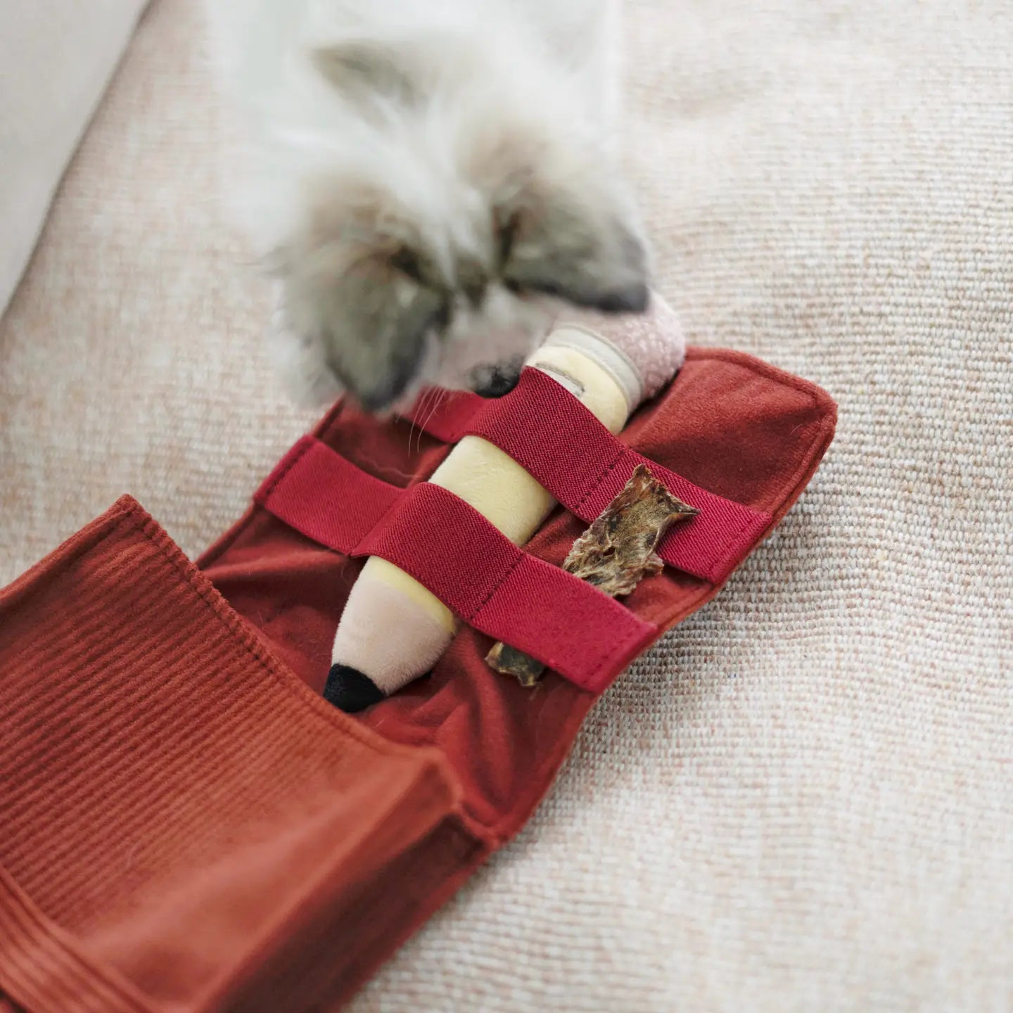 Peluche et jeux de fouille cartable