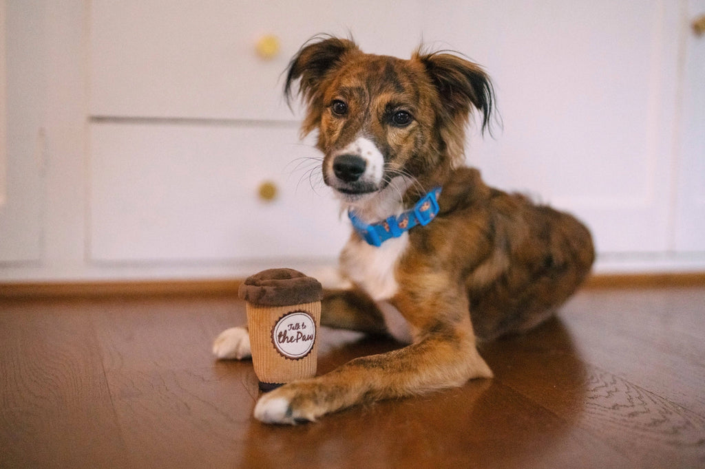 Peluche cappucino