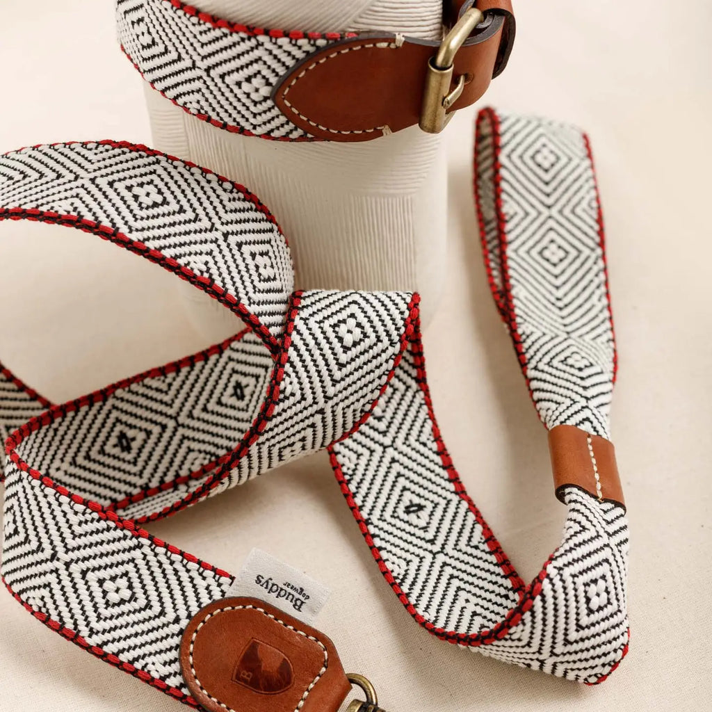 Collier Capri Beach Day - Buddys Dogwear