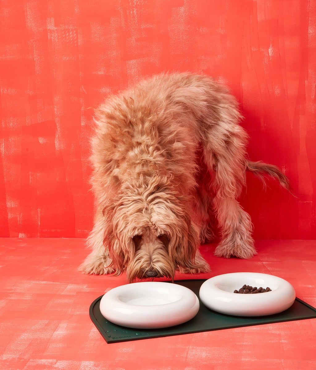 Gamelles en céramique blanche - Hot Dog