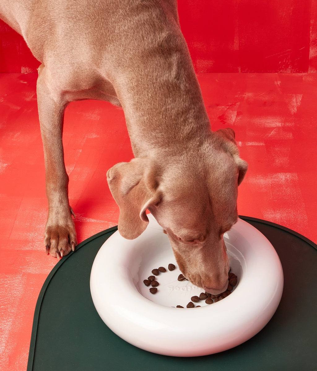 Gamelles en céramique blanche - Hot Dog