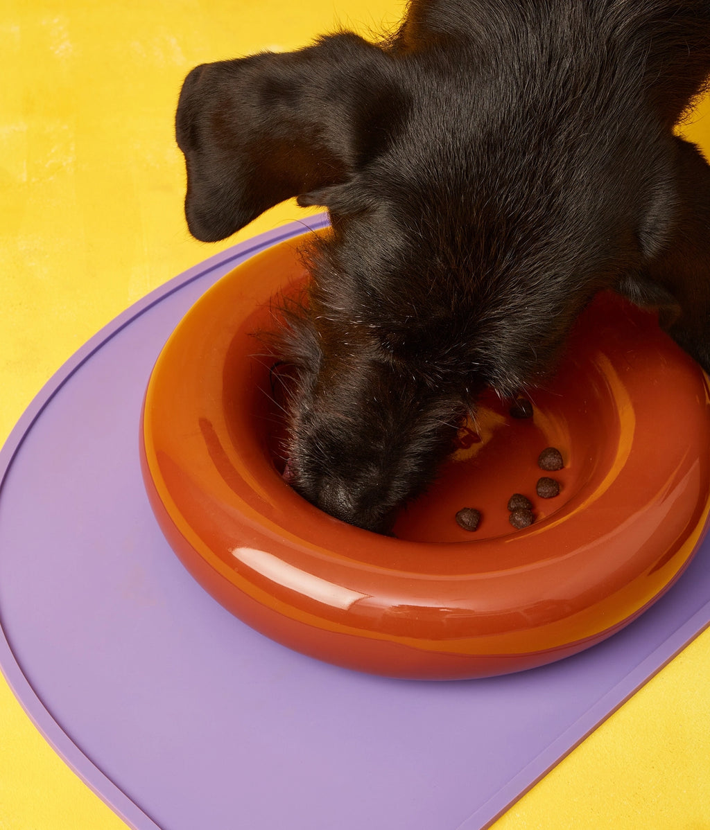 Gamelles en céramique marron - Hot Dog