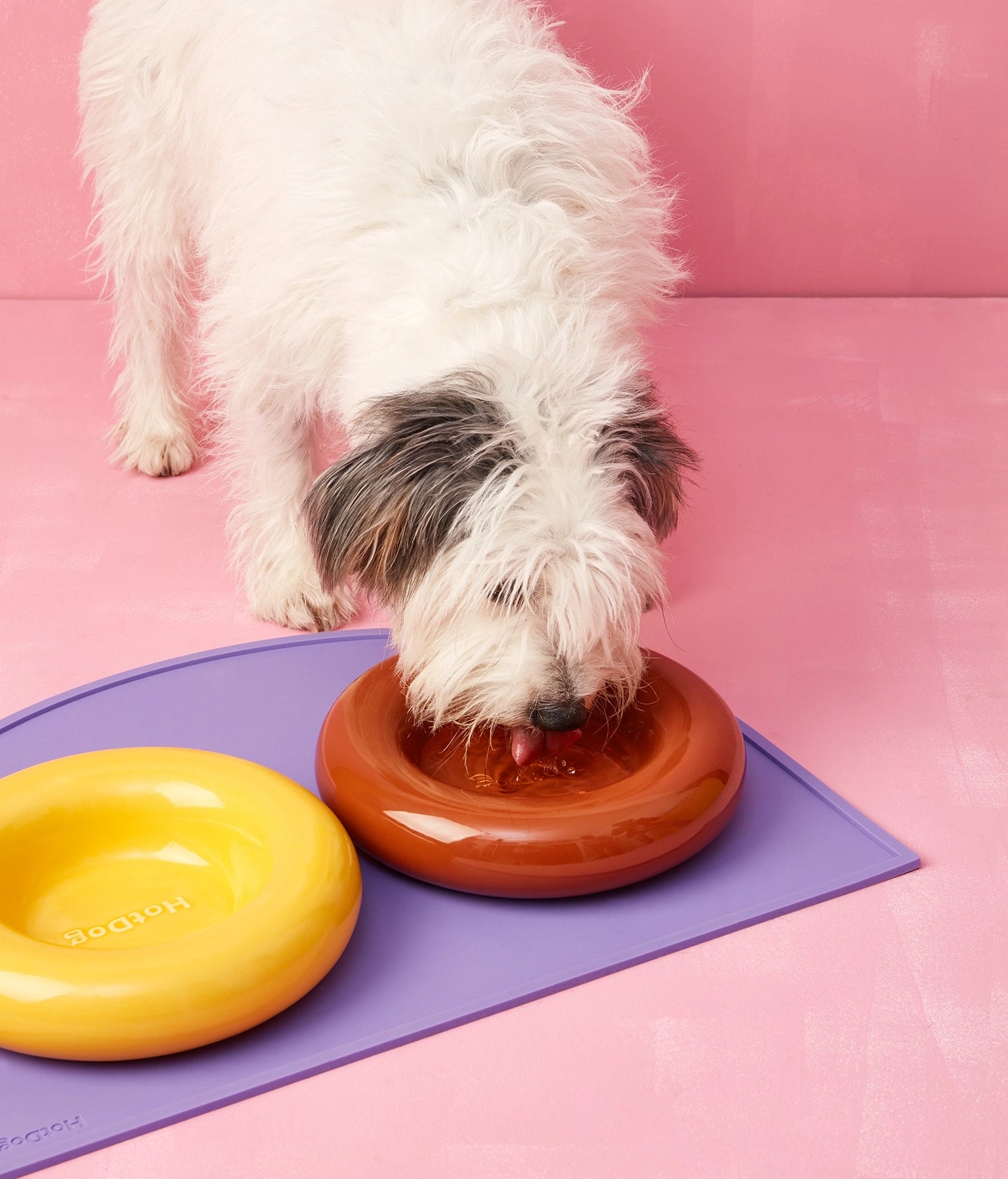 Gamelles en céramique marron - Hot Dog