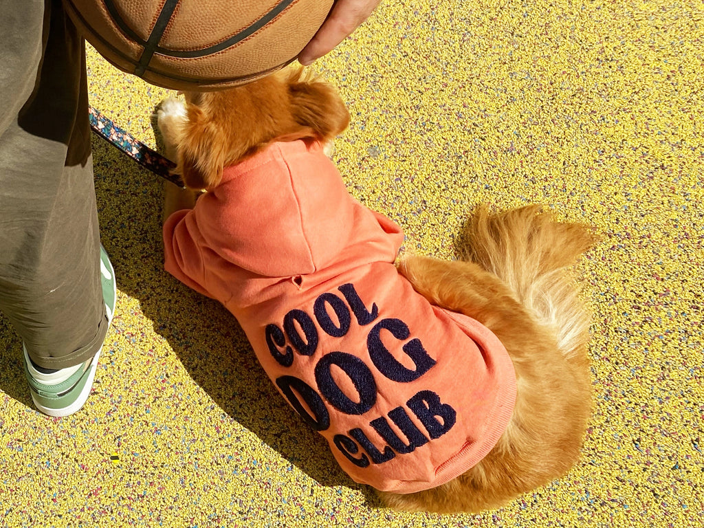 Hoodies à capuche rose corail - French Bandit